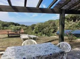 Villa Cedro