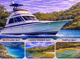 Party on the islands