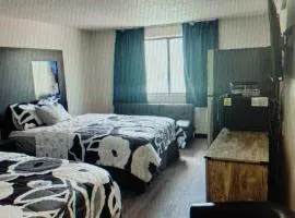 The suite