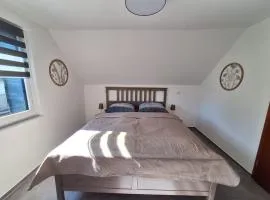 Nest and Nature Strauch