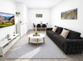 A B V Central Apartment- Unitate autorizata de Ministerul Turismului