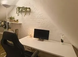 Penthouse Apartment in Central Oxford
