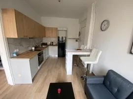 Alegria Piraeus Port Apartment