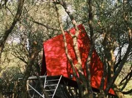 K-Tent 4