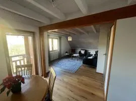 Ferienwohnung mit Weinbergblick