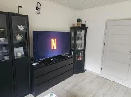 Apartament w lesie