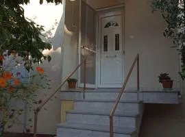 Rodi Home
