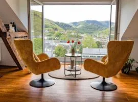 Ferienwohnungen Moselpanorama und Moselblick