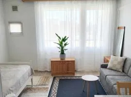 Cozy apartment in Toppila