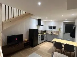 Appartement Montbrison centre