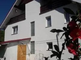 Casa Ionela nr 13- Complex de pensiuni si Casute la Munte