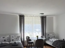 Gemütliche Ferienwohnung in Sigmaringen