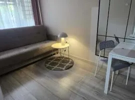 Via VOLTA 2025 Refresh 2 Bedroom Apartment