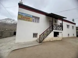 Butith Gangri home stay