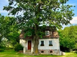 Willa Pod Dębem