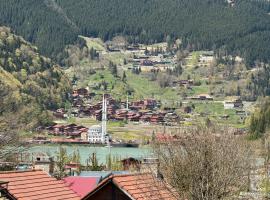 My Home Uzungöl, ξενοδοχείο στο Uzungol