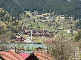 My Home Uzungöl