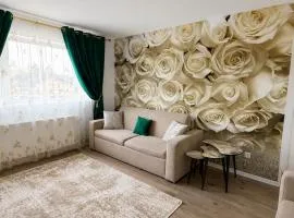 Rox Mountain View Apartament