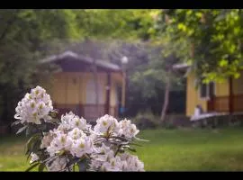 2 persons Bungalow in lovely and familial area