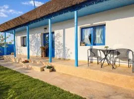 Casa lui Matei Murighiol#2