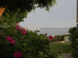 Alte Mühle Schlei
