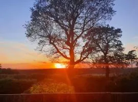 Bow Hill Farm Lodges - Adults Only
