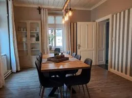 XXL Cosy apartments Villa Goisern, centre with mountain view