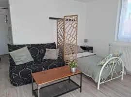 Studio F1 cosy en centre ville