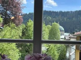 Stilvolle Fewo mit Dom-Blick & Balkon zentral in Sankt Blasien