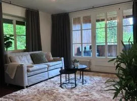 Stilvolle Fewo mit Dom-Blick & Balkon zentral in Sankt Blasien