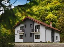 Vila Poiana Verde