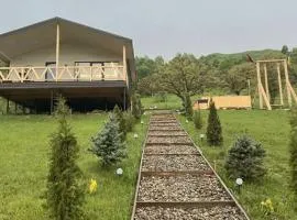 vaav house
