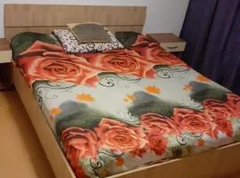 Casa Evelin