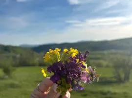 Vrba