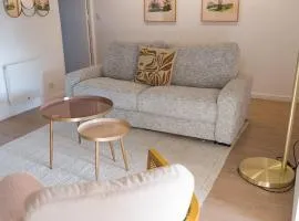 Le Grand Rue Signature - Appartement coeur de ville, rue piétonne