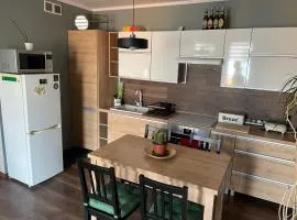 Apartament pod dębami