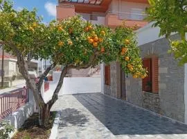 Orange Tree House Apolakkia Rhodes