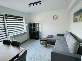 Modernes Appartment nahe See und Holstenhalle