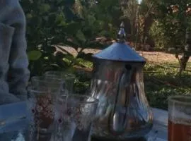 Authentic Moroccan Family Experience with Overnight Stay, Cooking & painting Workshop
