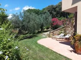 L'Ondiana, centenary olive trees and seaview