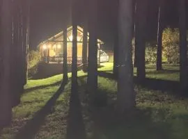 Chalet avec étang privé proche zoo de la Flèche et circuit des 24H du Mans