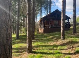 Chalet avec étang privé proche zoo de la Flèche et circuit des 24H du Mans