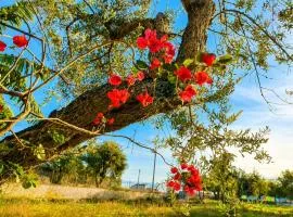 Sea View, Authentic Mediterranean Garden