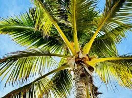 Casa De Las Mobulas near the beach and pickleball