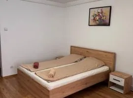 Hunyadi Nest