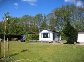 075 Chalet het Groene Randje - rand van bos, honden toegestaan
