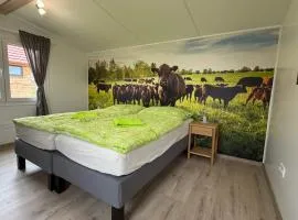 Camping Mitrov