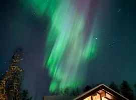 Modern Cabin By The Ski Trail On Golsfjellet