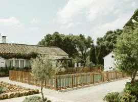 Centuries-Old Olive Finca With Pool In Cádiz