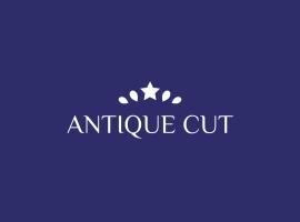 Antiquecut Jewelry, hotel v mestu Surat